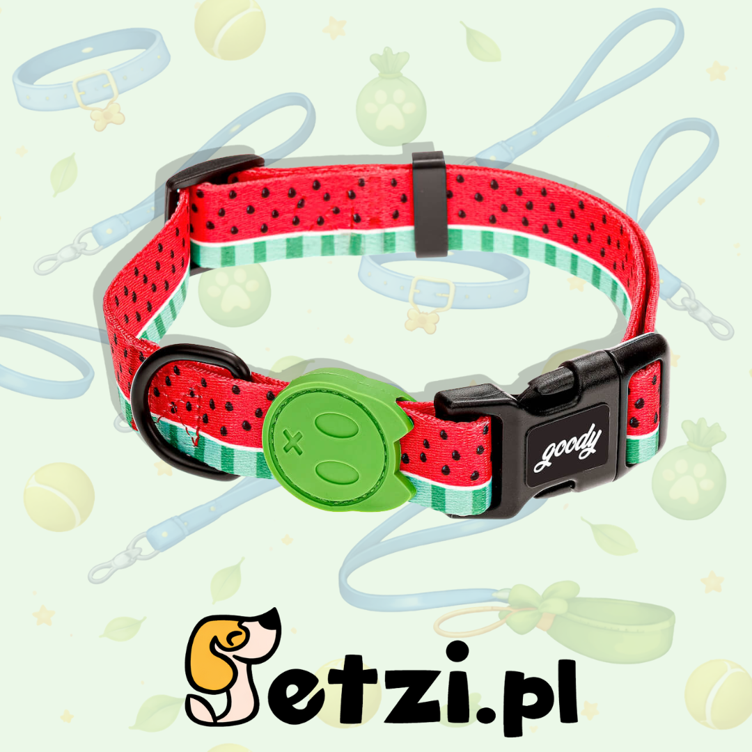 GOODY OBROŻA DLA PSA REGULOWANA REFRESHING DRINK S