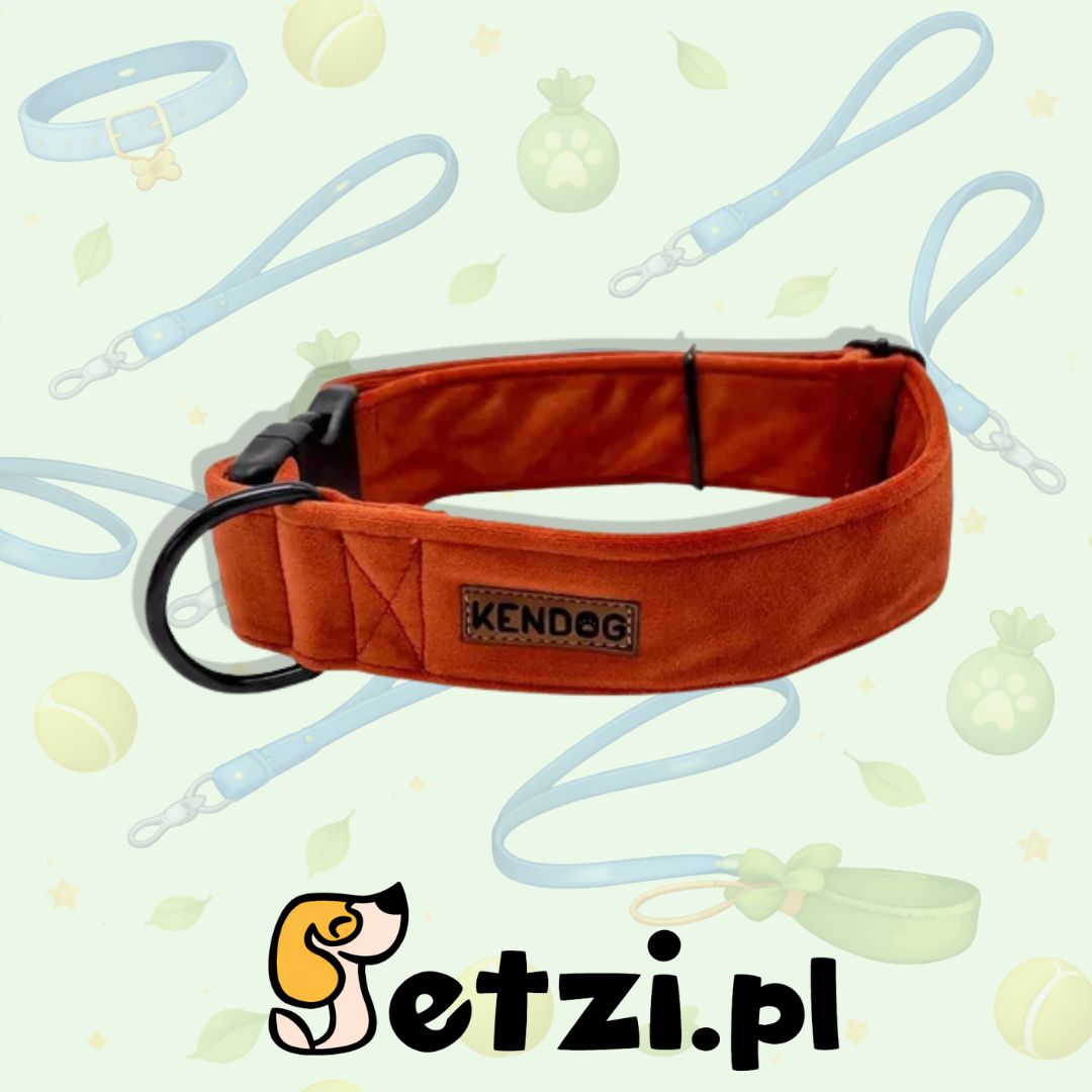 KENDOG OBROŻA DLA PSA VELVET GINGER 4CM M