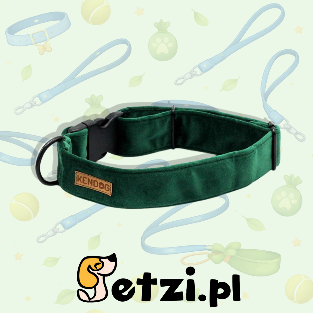 KENDOG OBROŻA DLA PSA VELVET GREEN 4CM M