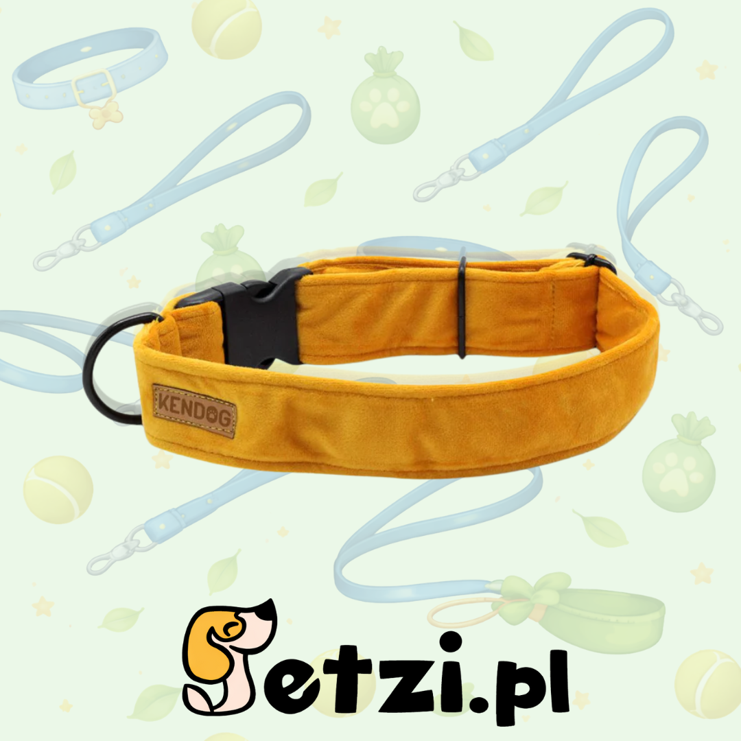 KENDOG OBROŻA DLA PSA VELVET YELLOW 4CM M