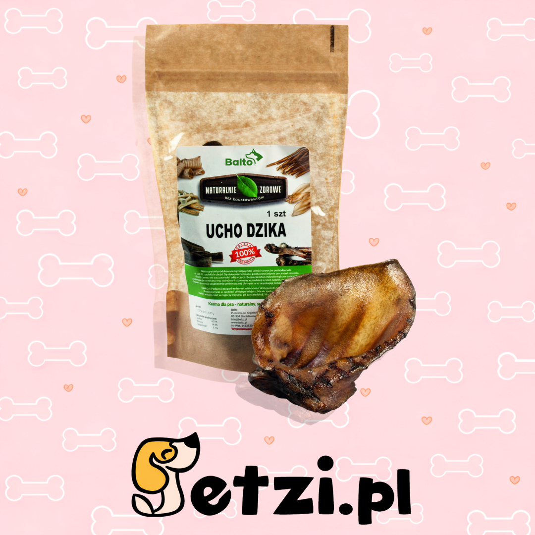 BALTO PREMIUM GRYZAK DLA PSA UCHO DZIKA