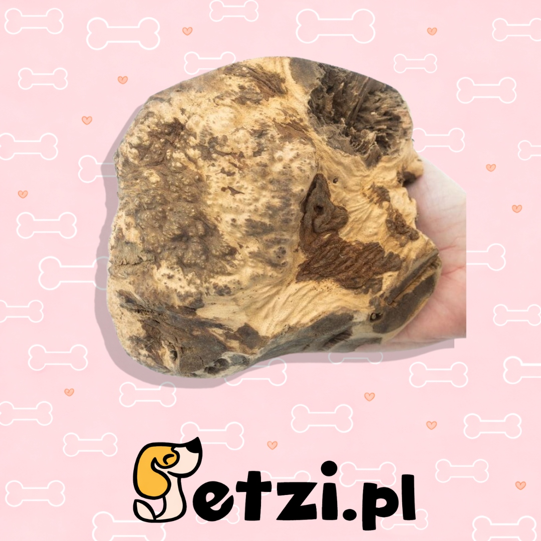 4DOGS GRYZAK XXL Z KORZENIA WRZOŚCA