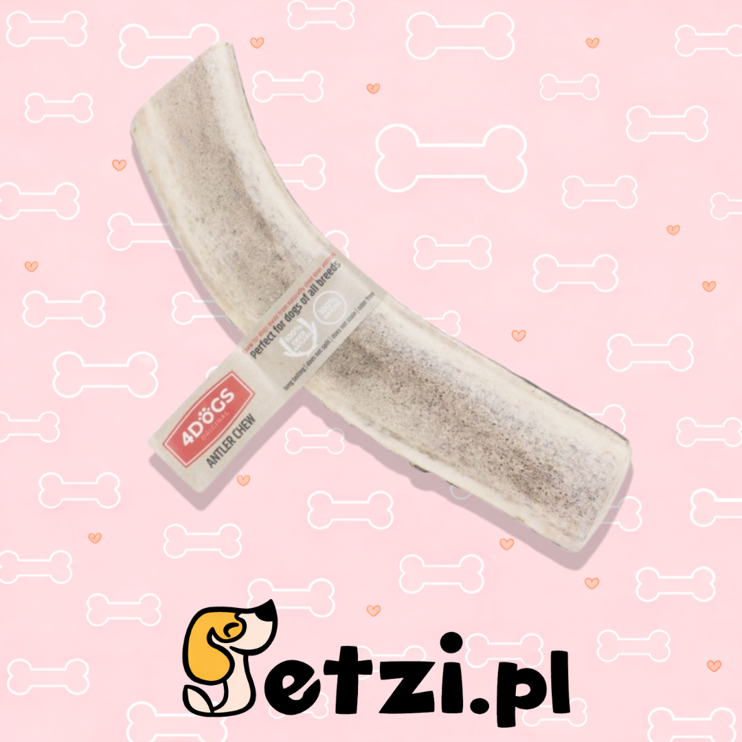 4DOGS GRYZAK XXL EASY Z POROŻA JELENIA