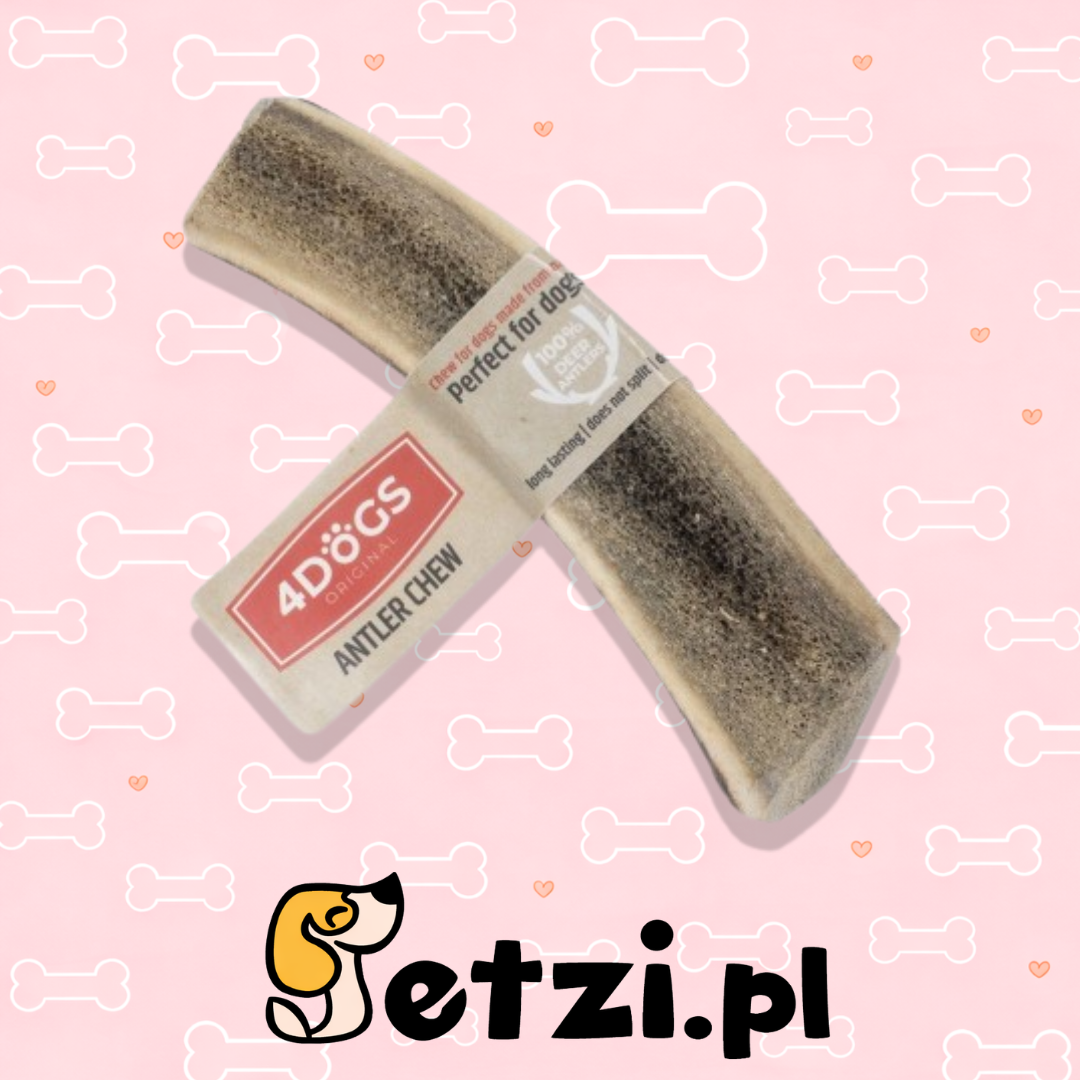 4DOGS GRYZAK S EASY Z POROŻA JELENIA