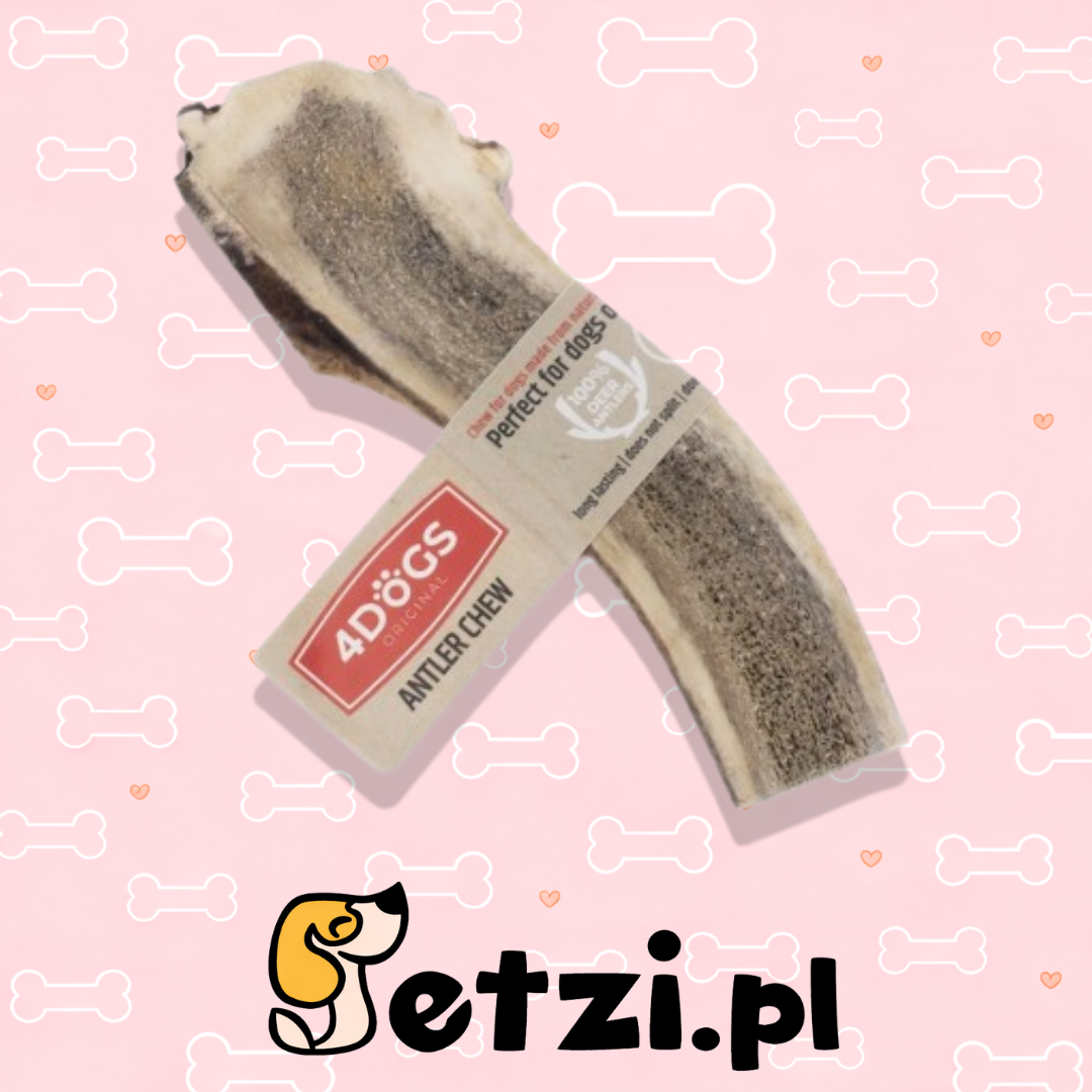 4DOGS GRYZAK M EASY Z POROŻA JELENIA