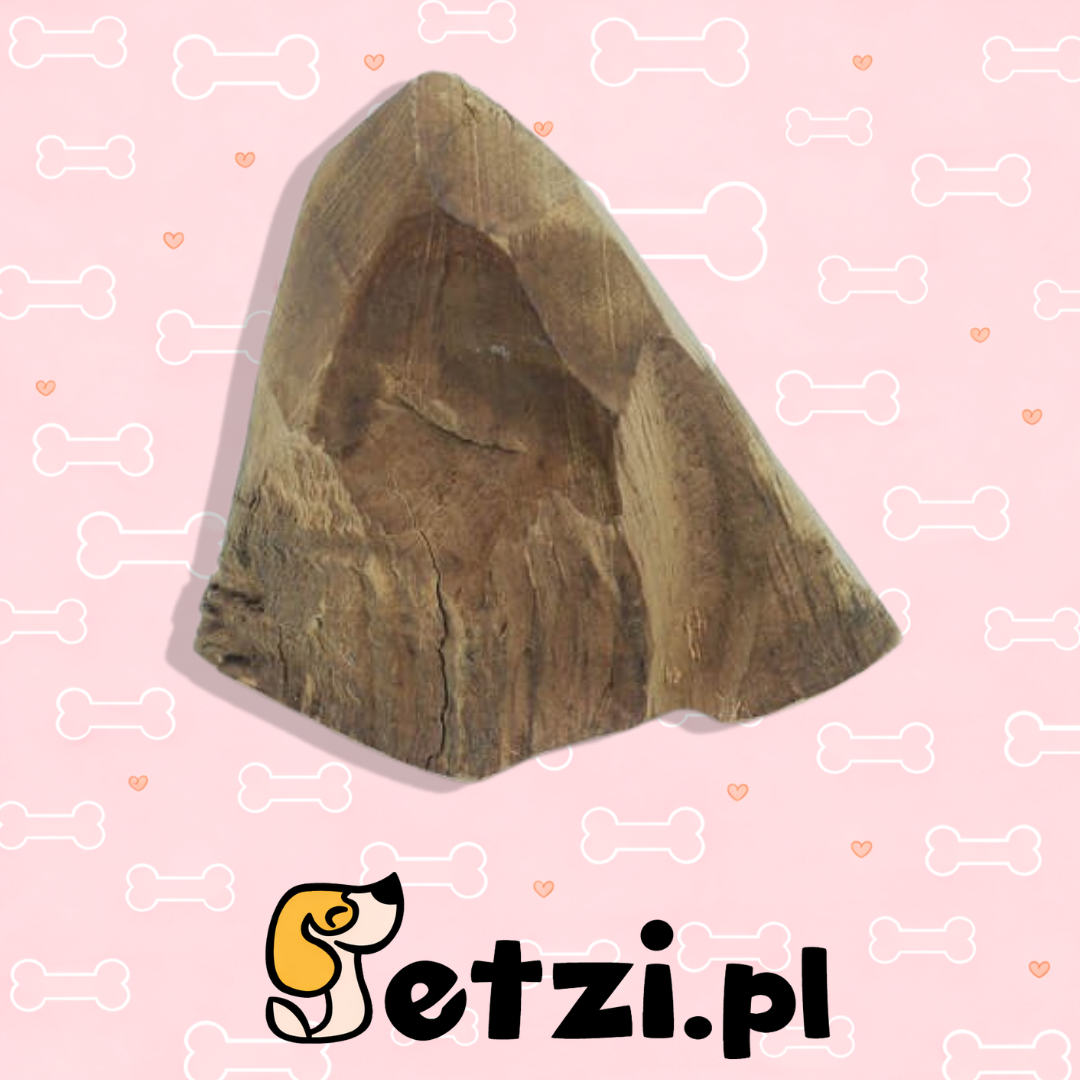 4DOGS GRYZAK L Z KORZENIA WRZOŚCA