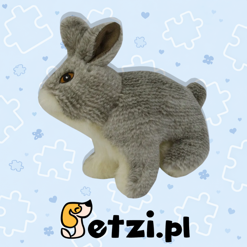 WILD LIFE DOG RABBIT
