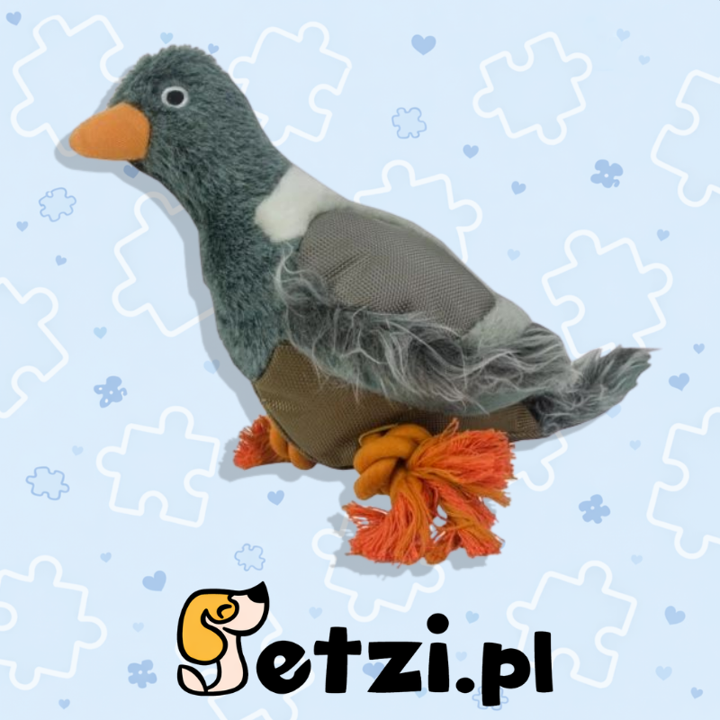 WILD LIFE DOG PIGEON