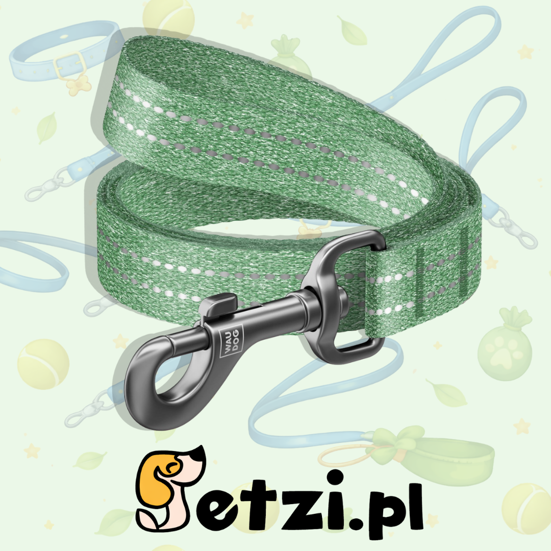 WAUDOG RECOTTON SMYCZ L-XXL 25MM 500CM ZIELONY