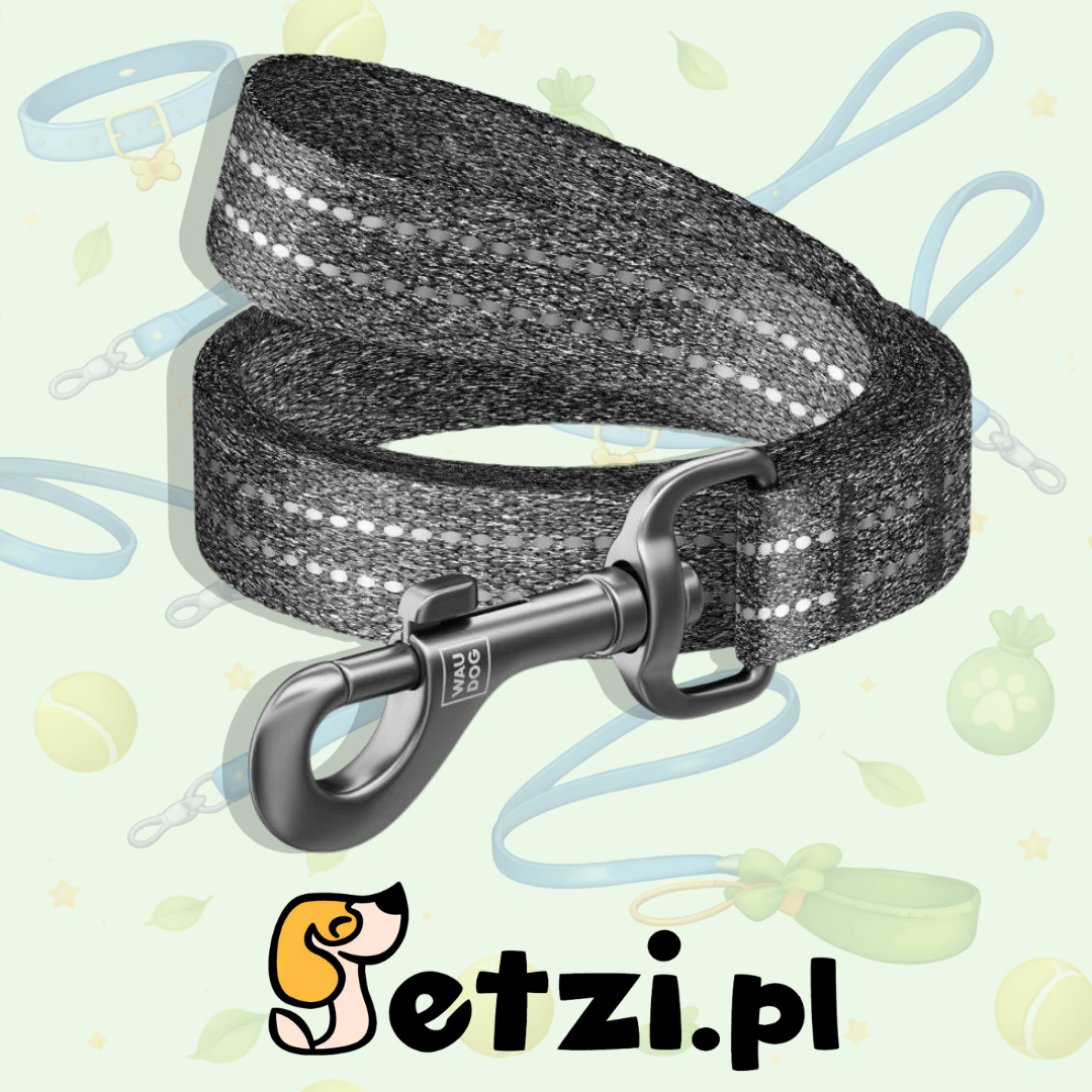 WAUDOG RECOTTON SMYCZ L-XXL 25MM 300CM SZARY