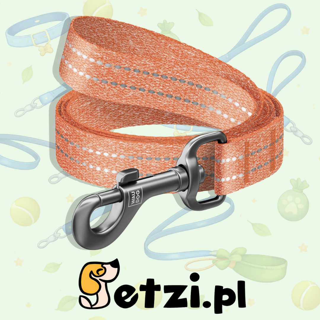 WAUDOG RECOTTON SMYCZ L-XXL 25MM 500CM POMARAŃCZOWY