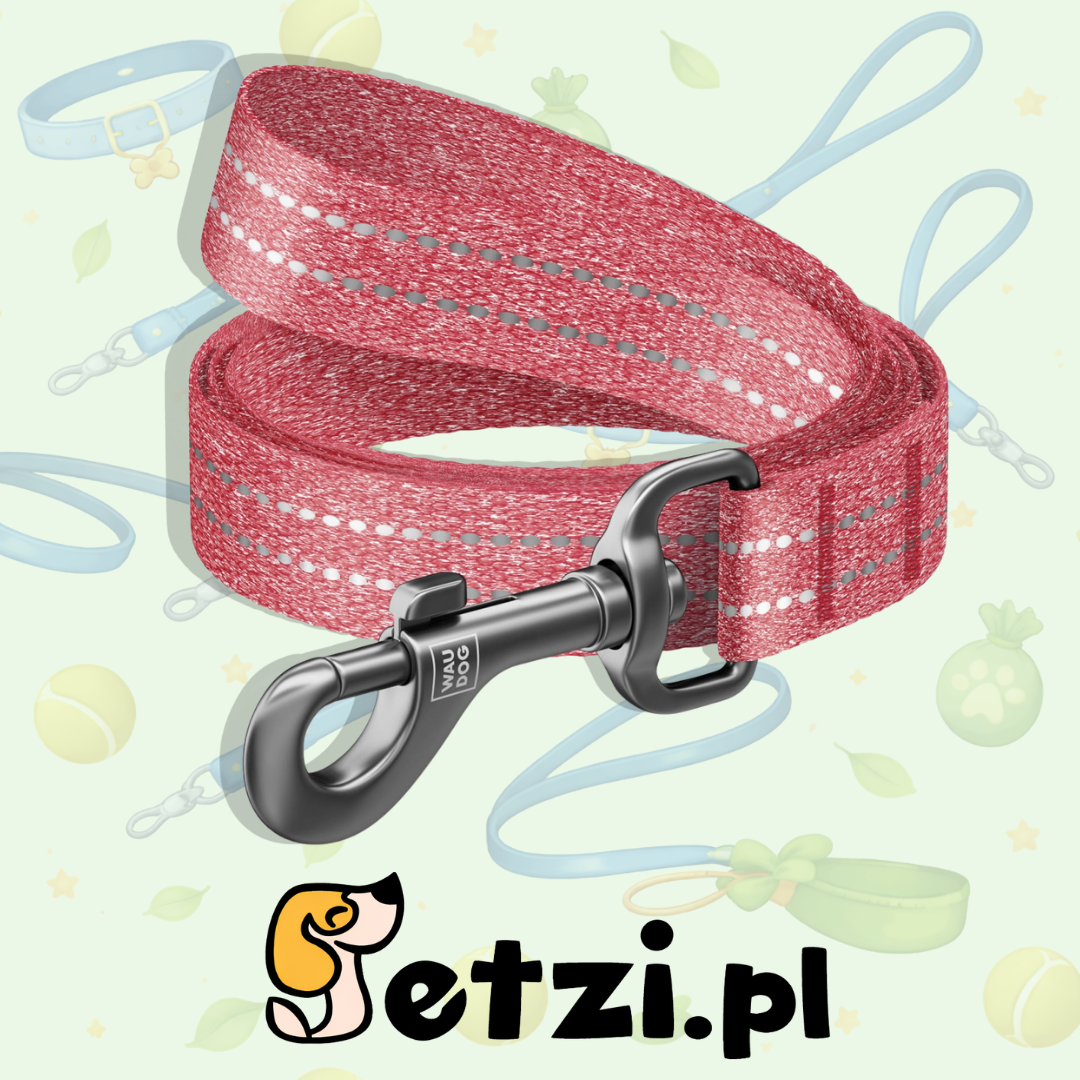 WAUDOG RECOTTON SMYCZ L-XXL 25MM 300CM CZERWONY