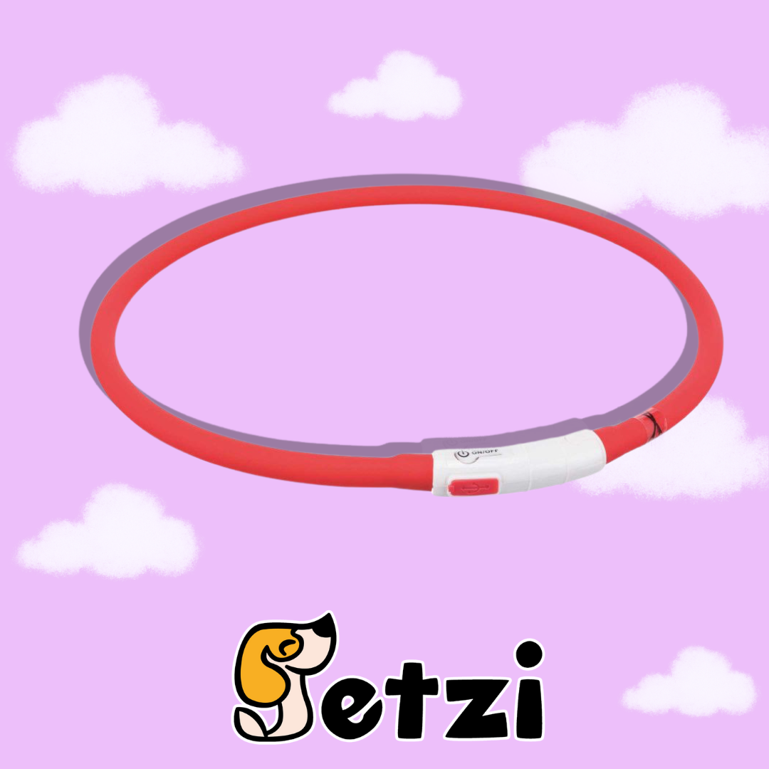 TRIXIE OBROŻA ŚWIECĄCA LED USB – RÓŻNE ROZMIARY I KOLORY