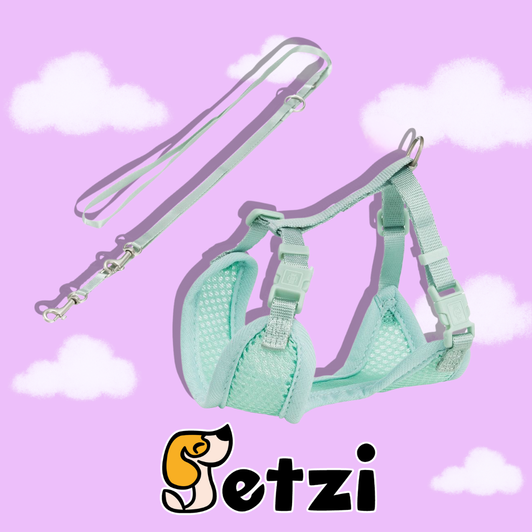 TRIXIE JUNIOR – MIĘKKIE SZELKI DLA SZCZENIĄT ZE SMYCZĄ – RÓŻNE KOLORY