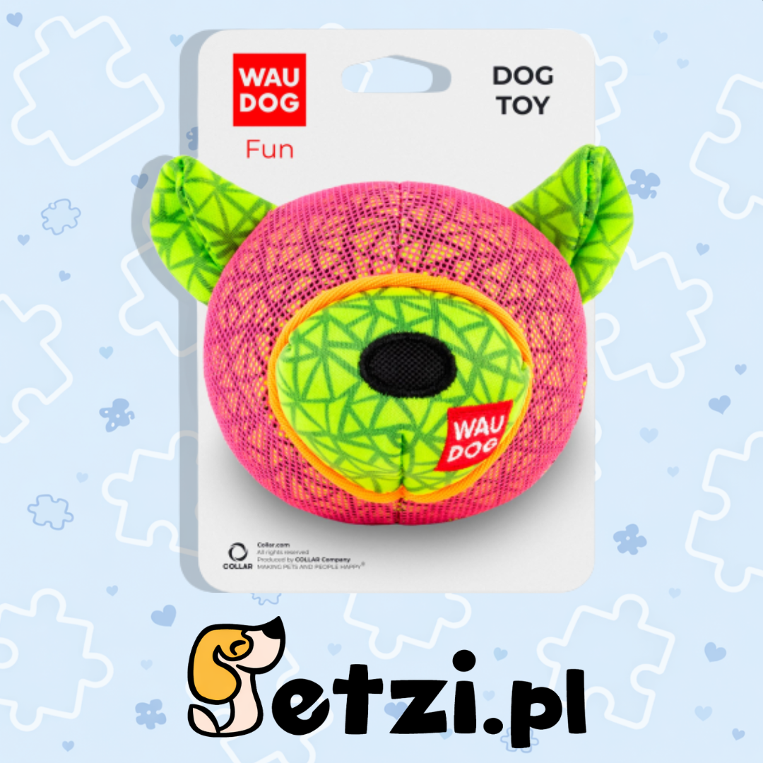 WAUDOG FUN NIEDŹWIEDŹ RÓŻOWY
