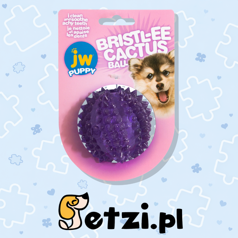 JW BRISTL-EE CACTUS BALL
