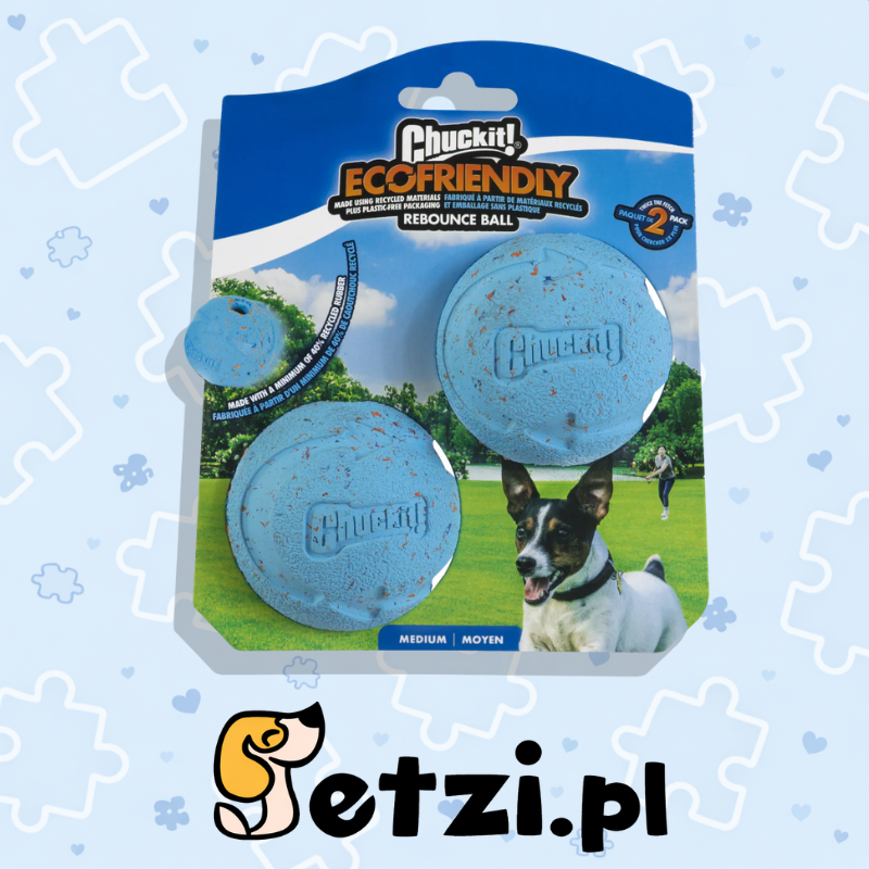 CHUCKIT REBOUNCE FETCH BALL M, 2 PACK