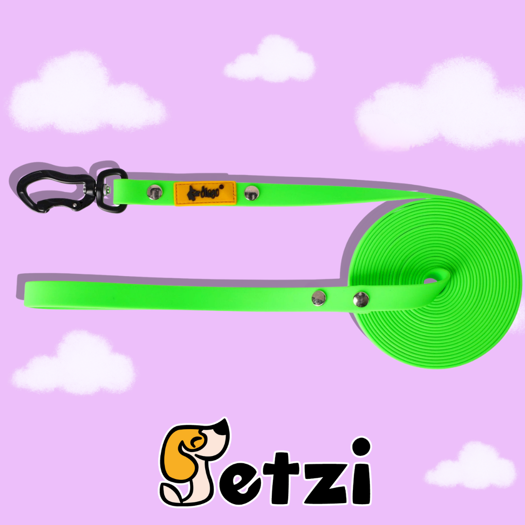 DINGO FLEX SMYCZ TRENINGOWA (Z RĄCZKĄ) 5M – RÓŻNE KOLORY I SZEROKOŚCI