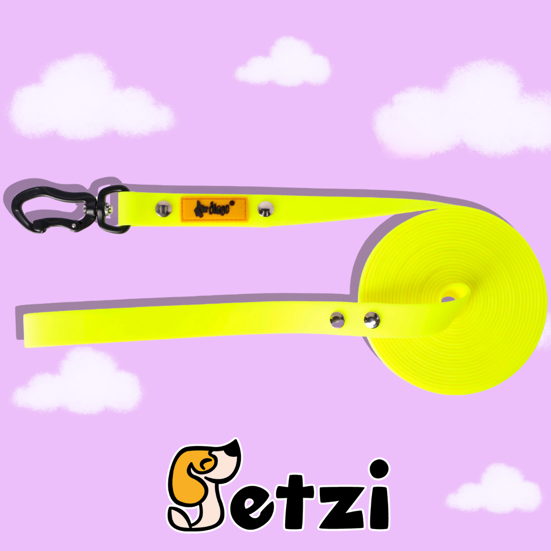 DINGO FLEX SMYCZ TRENINGOWA (Z RĄCZKĄ) 5M – RÓŻNE KOLORY I SZEROKOŚCI
