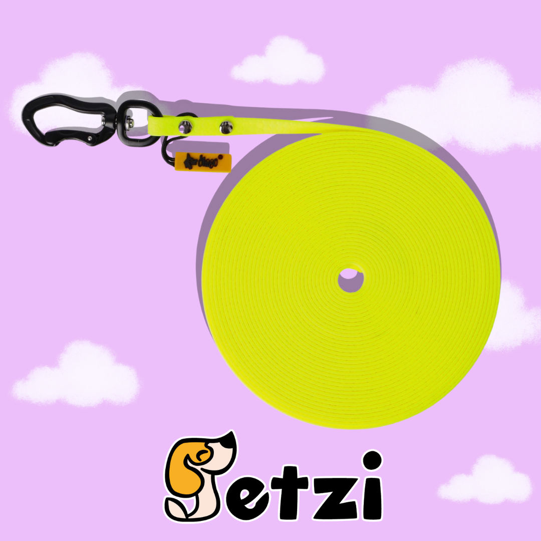 DINGO FLEX SMYCZ TRENINGOWA (BEZ RĄCZKI) 20M – RÓŻNE KOLORY