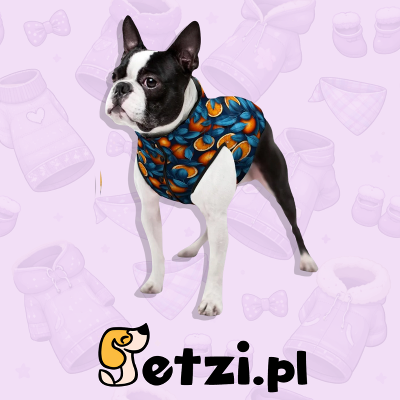 WAUDOG CLOTHES KURTKA POMARAŃCZE XL