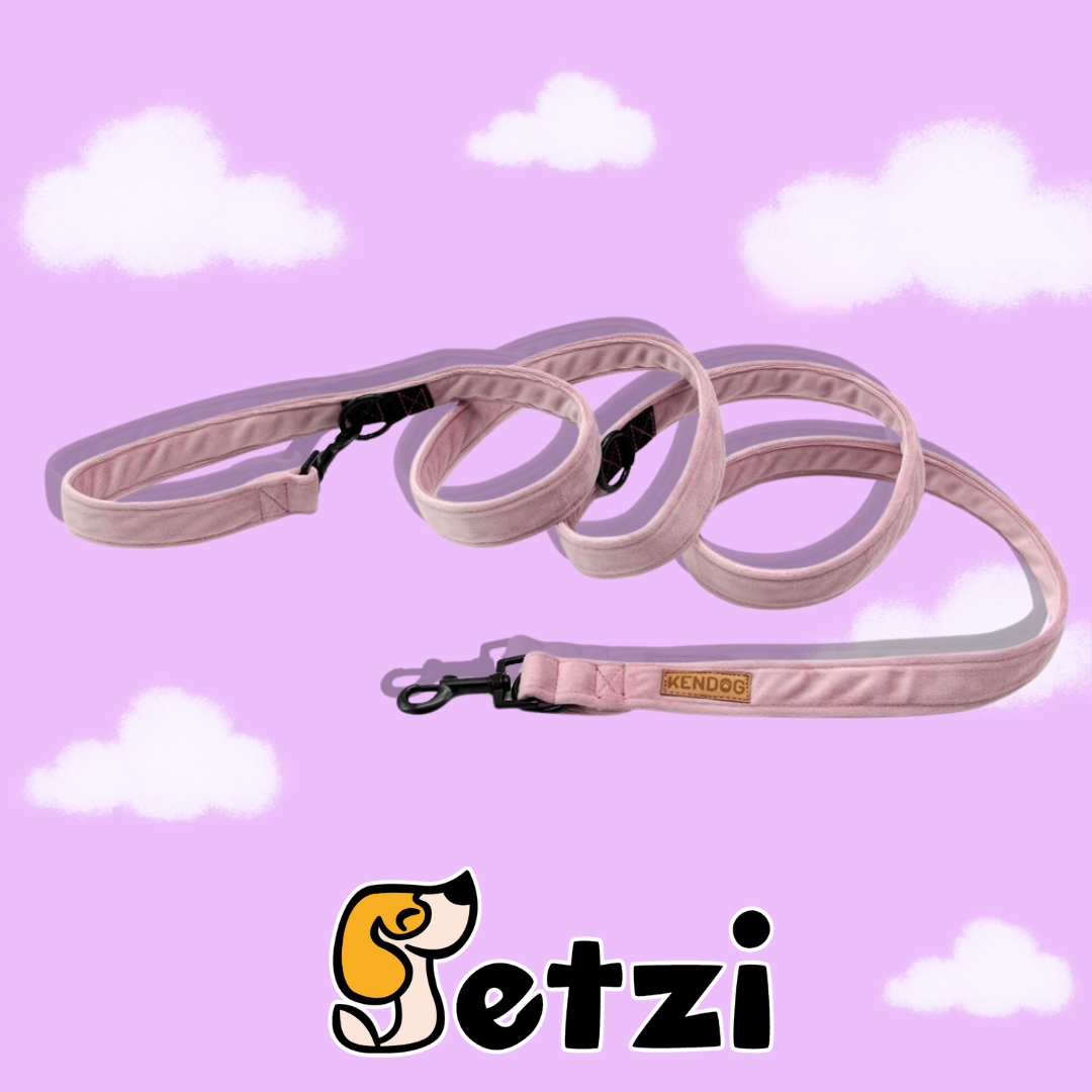 KENDOG SMYCZ WELUROWA VELVET DLA PSA HANDMADE - RÓŻNE KOLORY