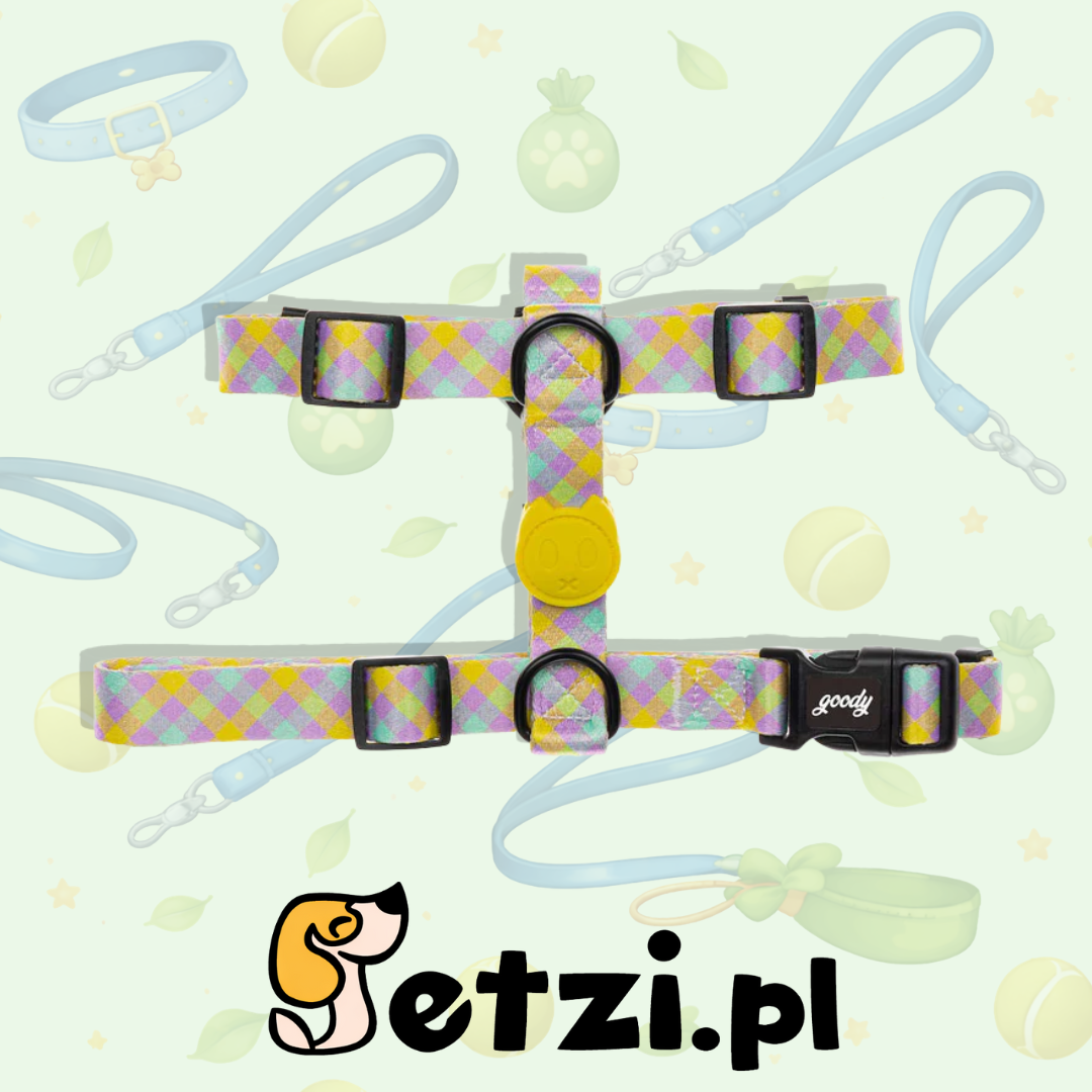 GOODY SZELKI GUARD DLA PSA SUMMER VIBES L