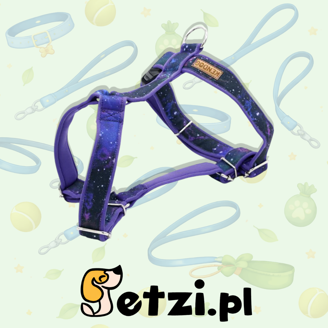 KENDOG SZELKI GUARD DLA PSA GALAXY M