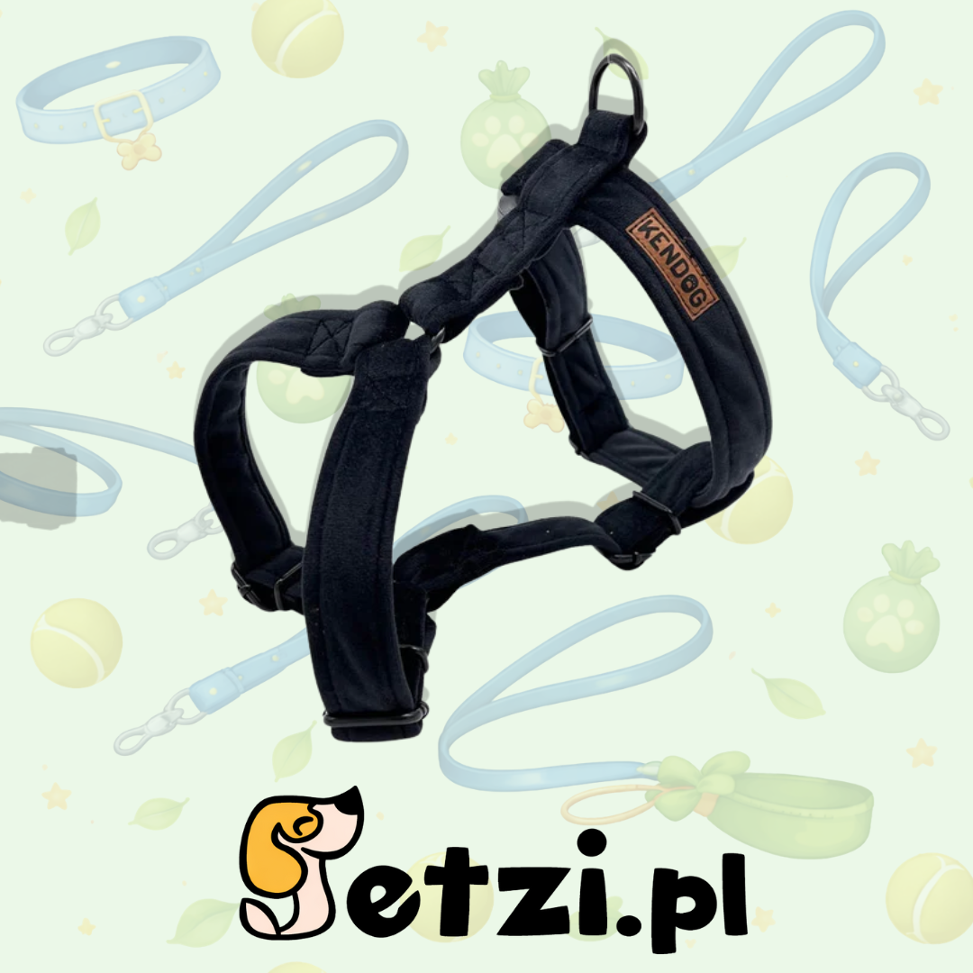 KENDOG SZELKI GUARD DLA PSA VELVET BLACK XS