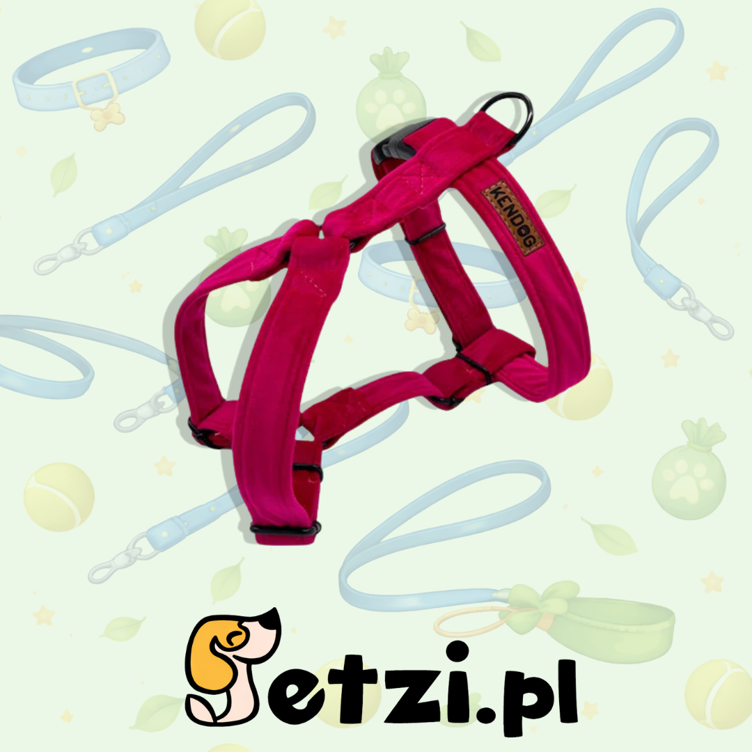 KENDOG SZELKI GUARD DLA PSA VELVET FUCHSIA XS