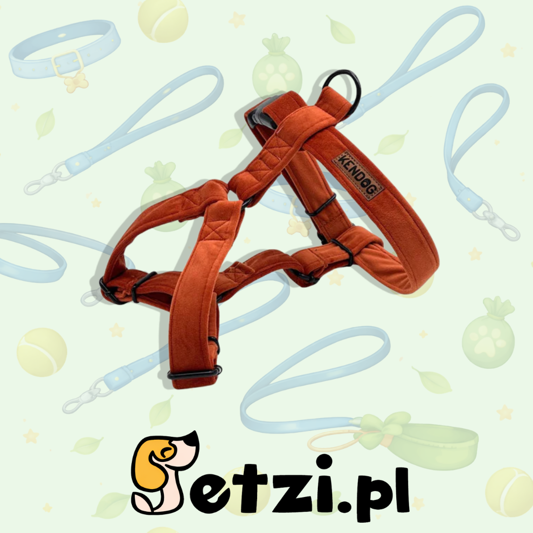 KENDOG SZELKI GUARD DLA PSA VELVET GINGER XS
