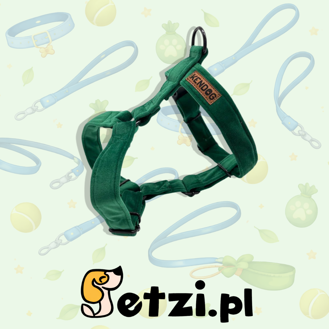 KENDOG SZELKI GUARD DLA PSA VELVET GREEN XS