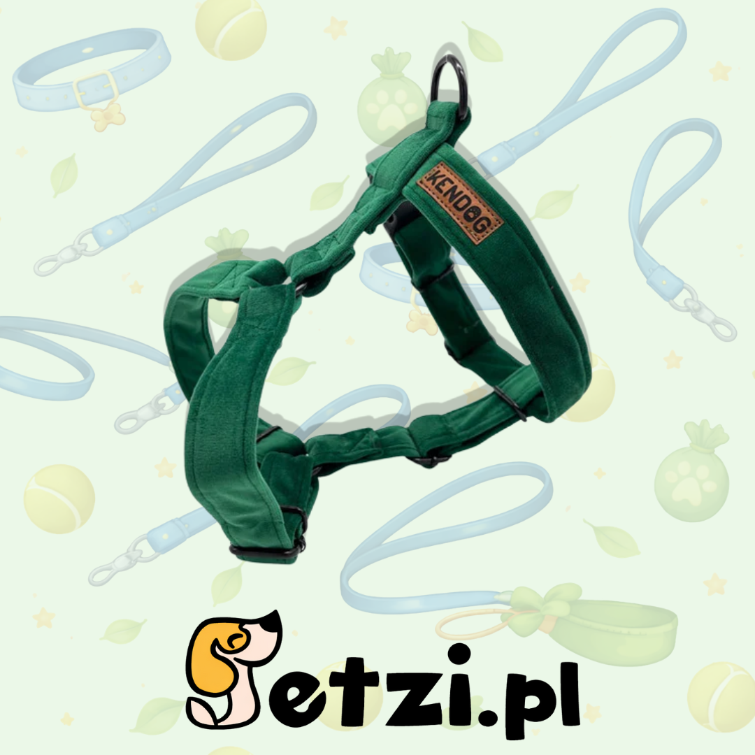 KENDOG SZELKI GUARD DLA PSA VELVET OLIVE XS