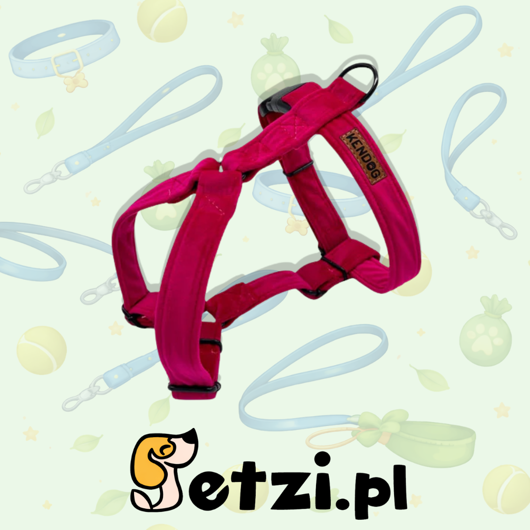 KENDOG SZELKI GUARD DLA PSA VELVET PINK XS