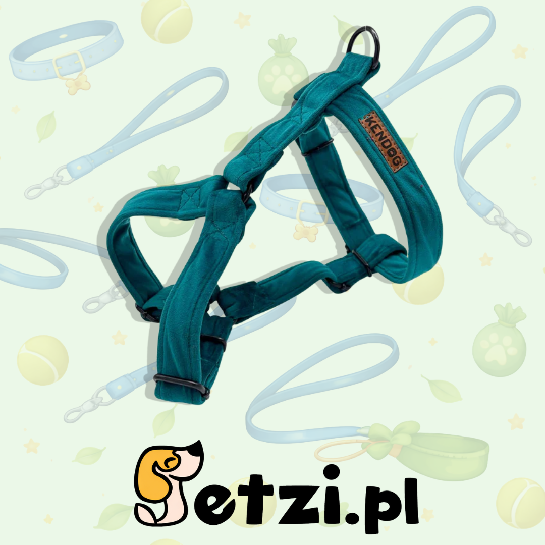 KENDOG SZELKI GUARD DLA PSA VELVET TURKUS XS