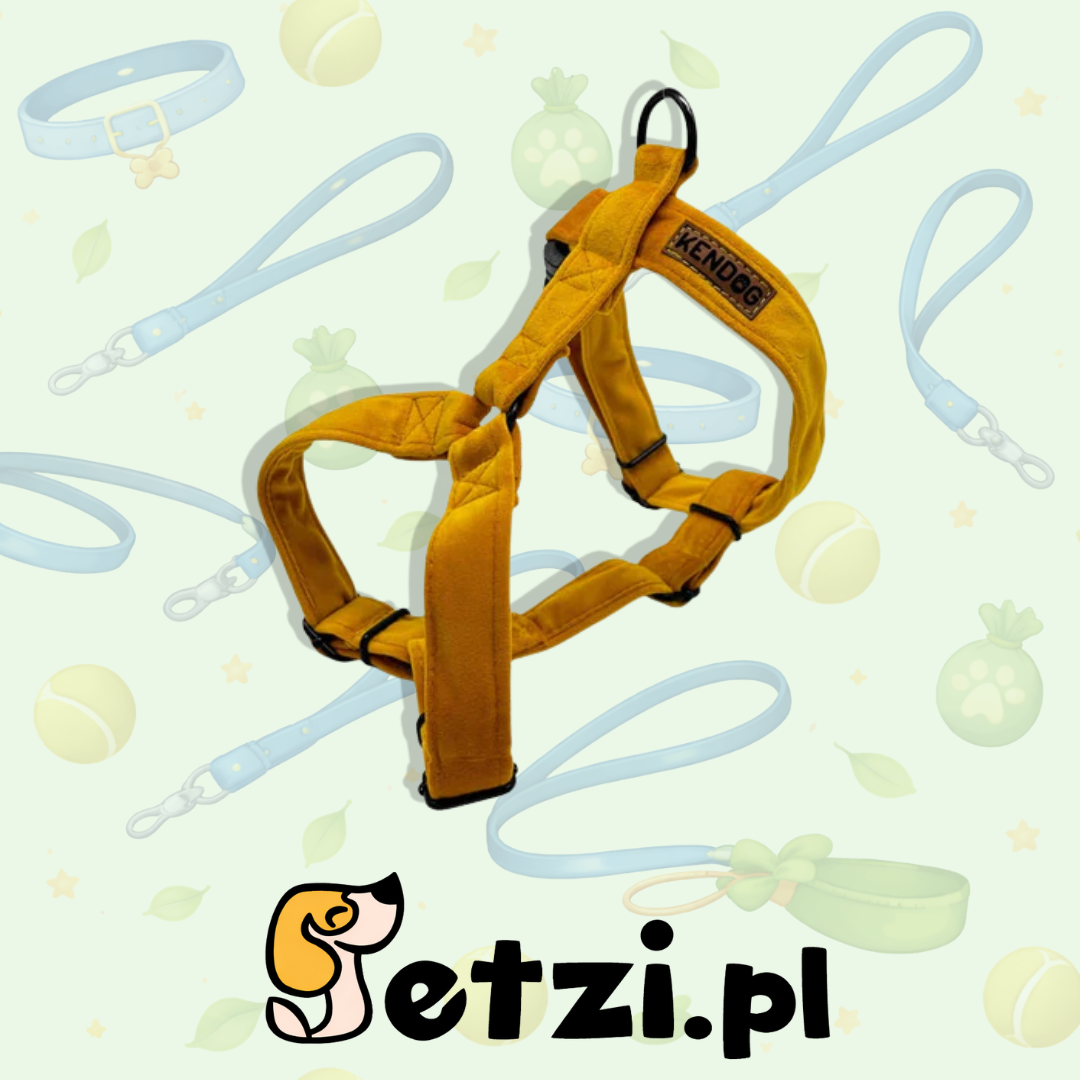 KENDOG SZELKI GUARD DLA PSA VELVET YELLOW XS