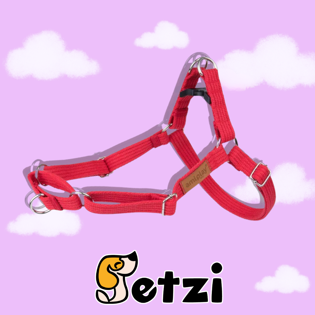AMIPLAY SZELKI EASY GO COTTON CZERWONY - RÓŻNE ROZMIARY