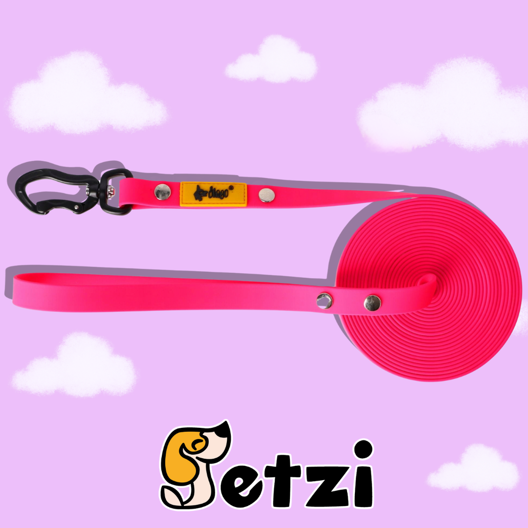 DINGO FLEX SMYCZ TRENINGOWA (Z RĄCZKĄ) 5M – RÓŻNE KOLORY I SZEROKOŚCI