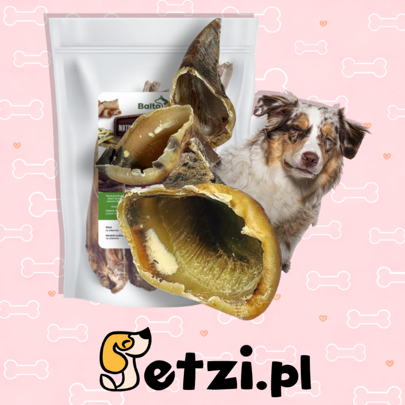 BALTO GRYZAK DLA PSA KOPYTA WOŁOWE 1KG