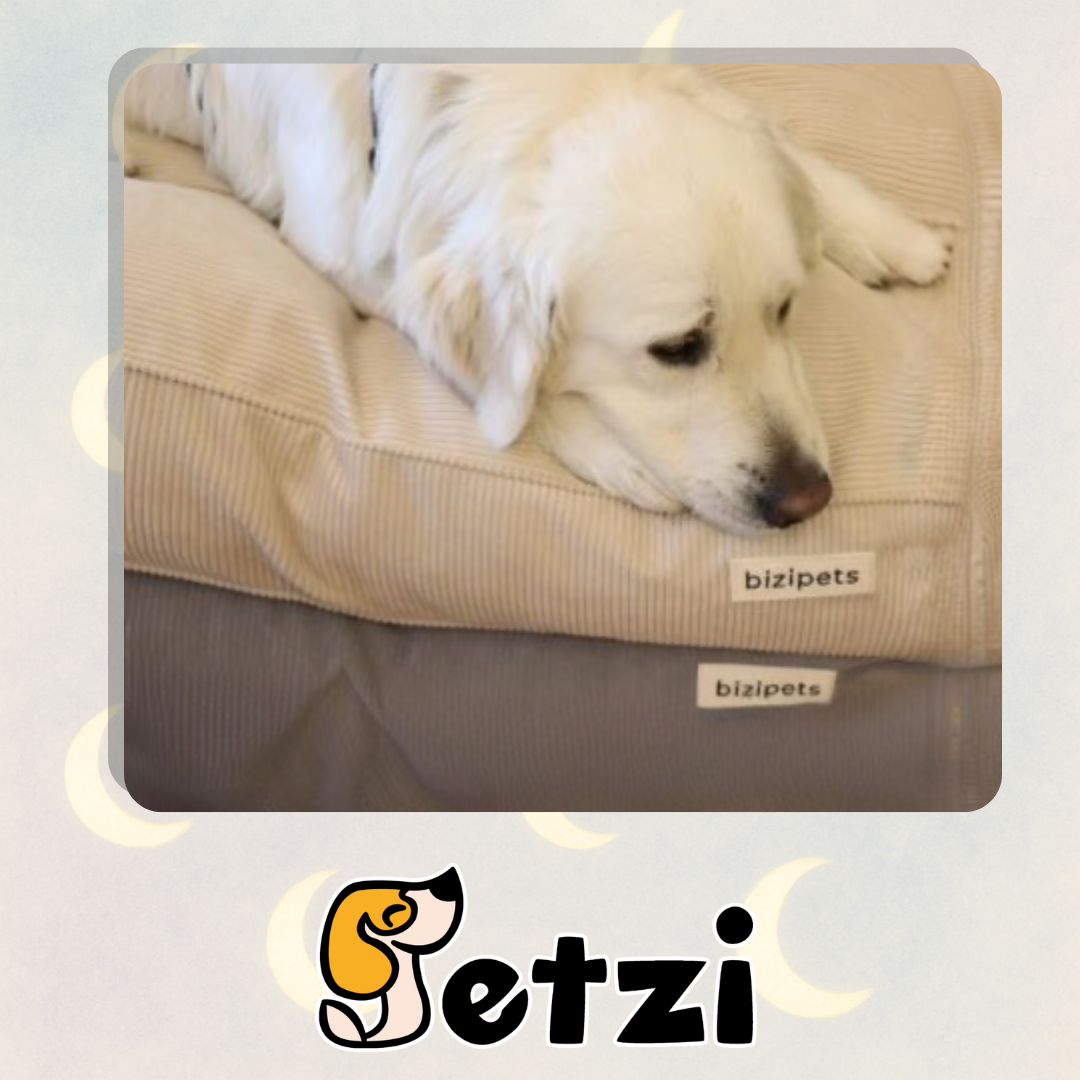 BIZIPETS SZTRUKSOWE LEGOWISKO PREMIUM DLA PSA SZARE S