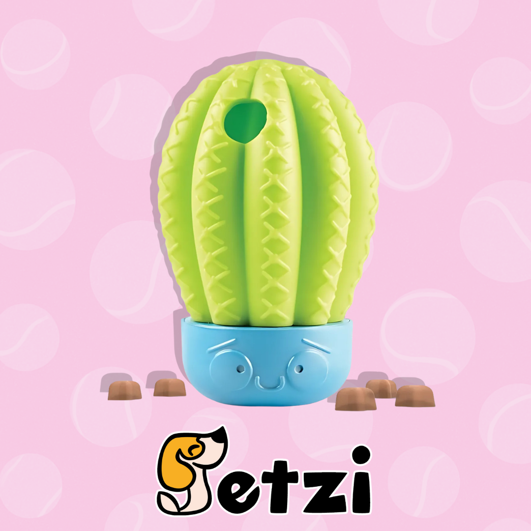 BRIGHTKINS CACTUS SURPRISE! – ZABAWKA NA PRZYSMAKI "KAKTUSOWA NIESPODZIANKA"
