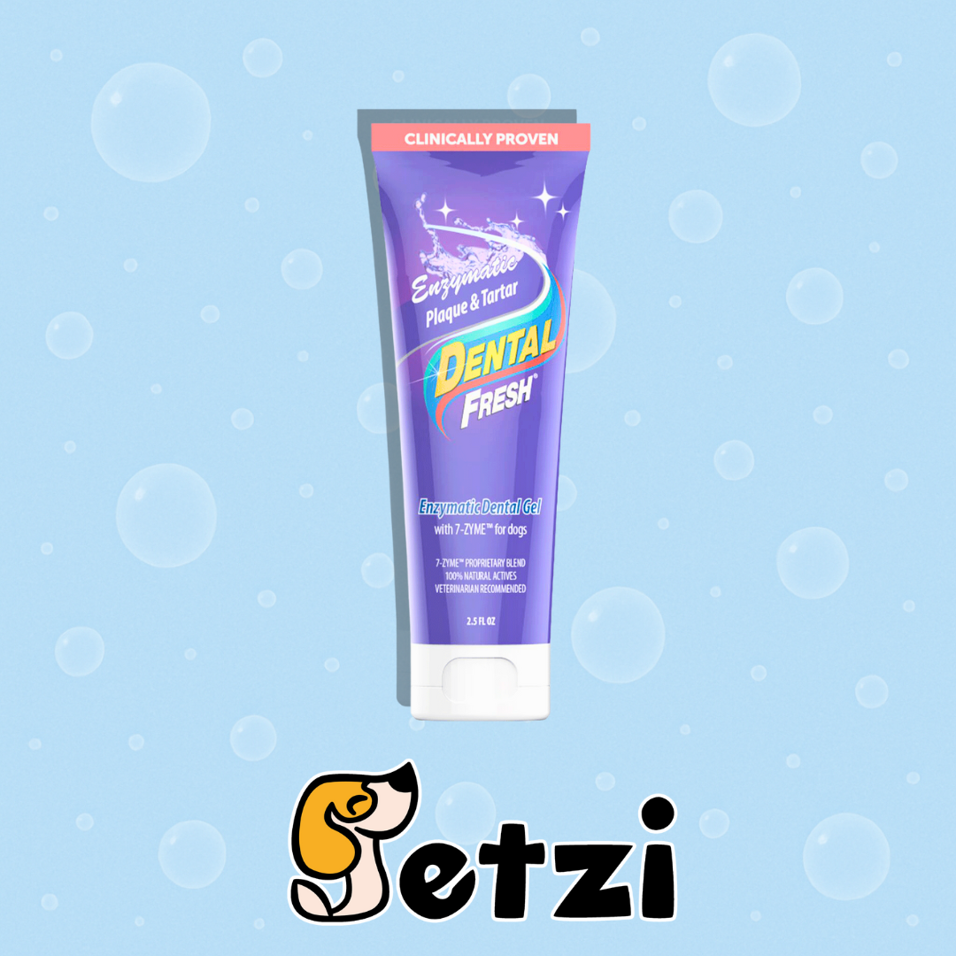 DENTAL FRESH ENZYMATIC DENTAL GEL – ŻEL ENZYMATYCZNY
