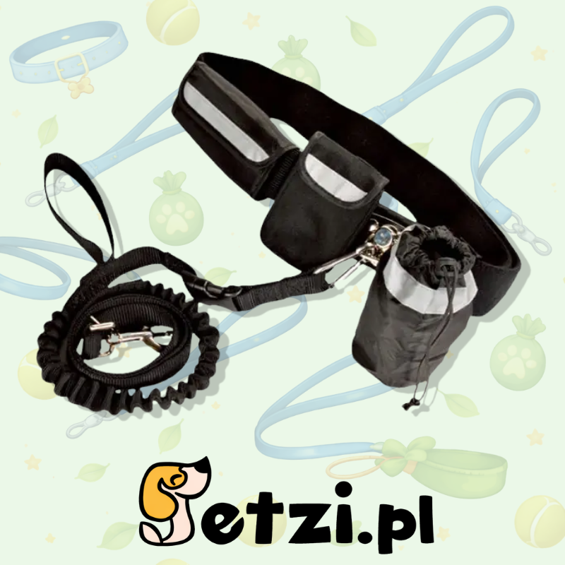 PAWISE HANDS FREE DOGGY BIKE JOGGER KIT