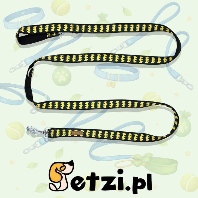 KENDOG SMYCZ PRZEPINANA BATDOG 200CM 2CM