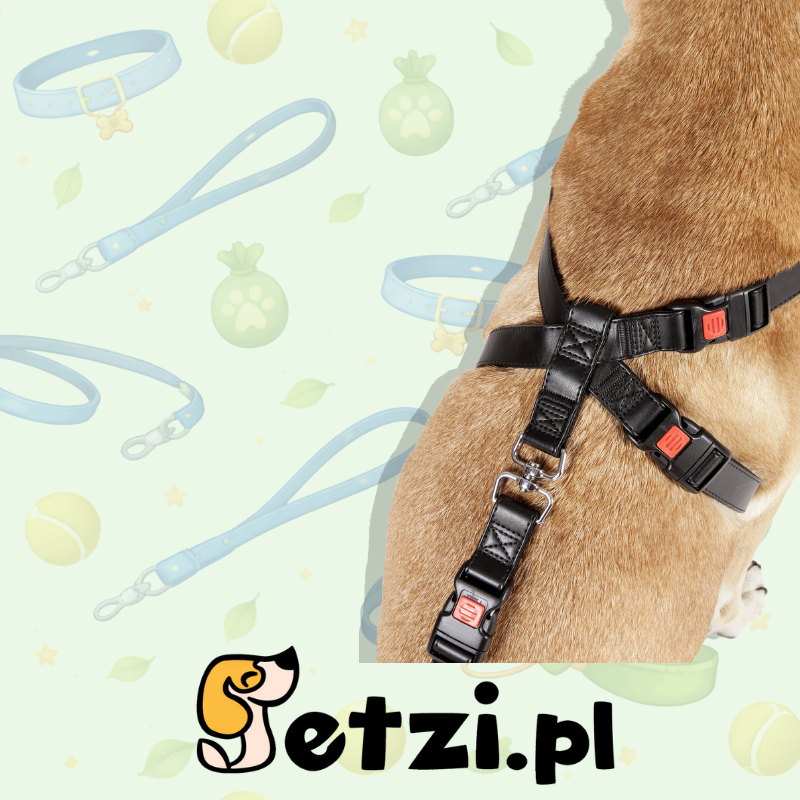 FLAMINGO CAR SAFETY HARNESS DUMA BLACK L 36-56,5X41-65CM