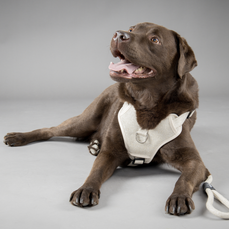 FLAMINGO DOG HARNESS LAGO BEIGE XS 25-43CM 30-45CM 15MM