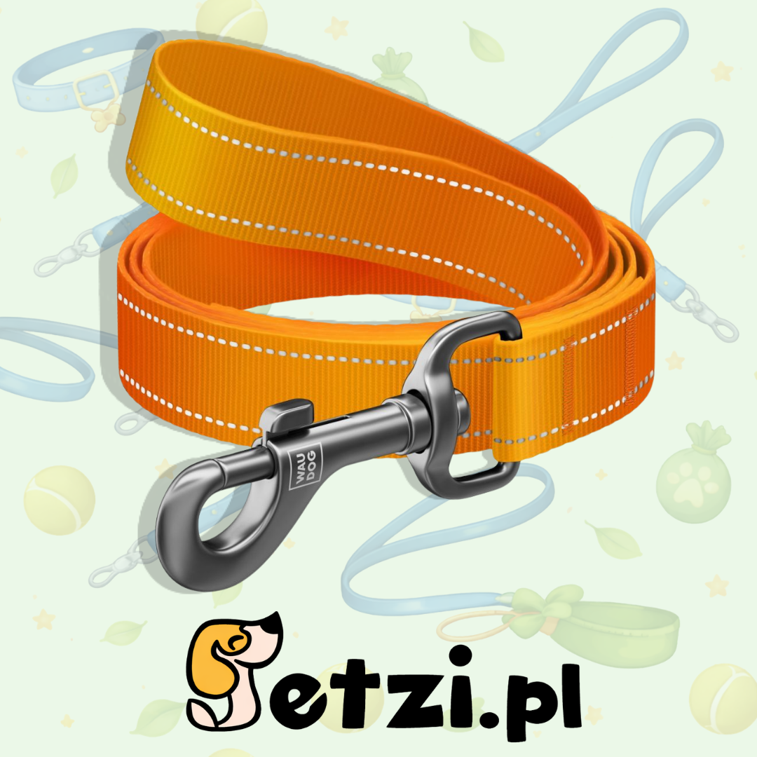 WAUDOG NYLON MONO SMYCZ M 20MM 300CM POMARAŃCZOWY