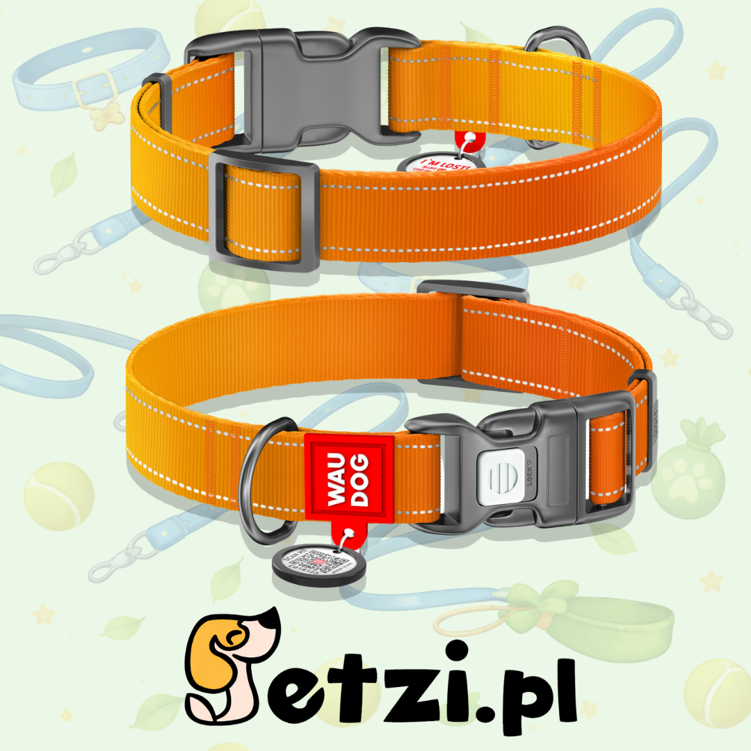 WAUDOG NYLON MONO OBROŻA PLASTIKOWY FASTEX L 25 MM POMARAŃCZOWY