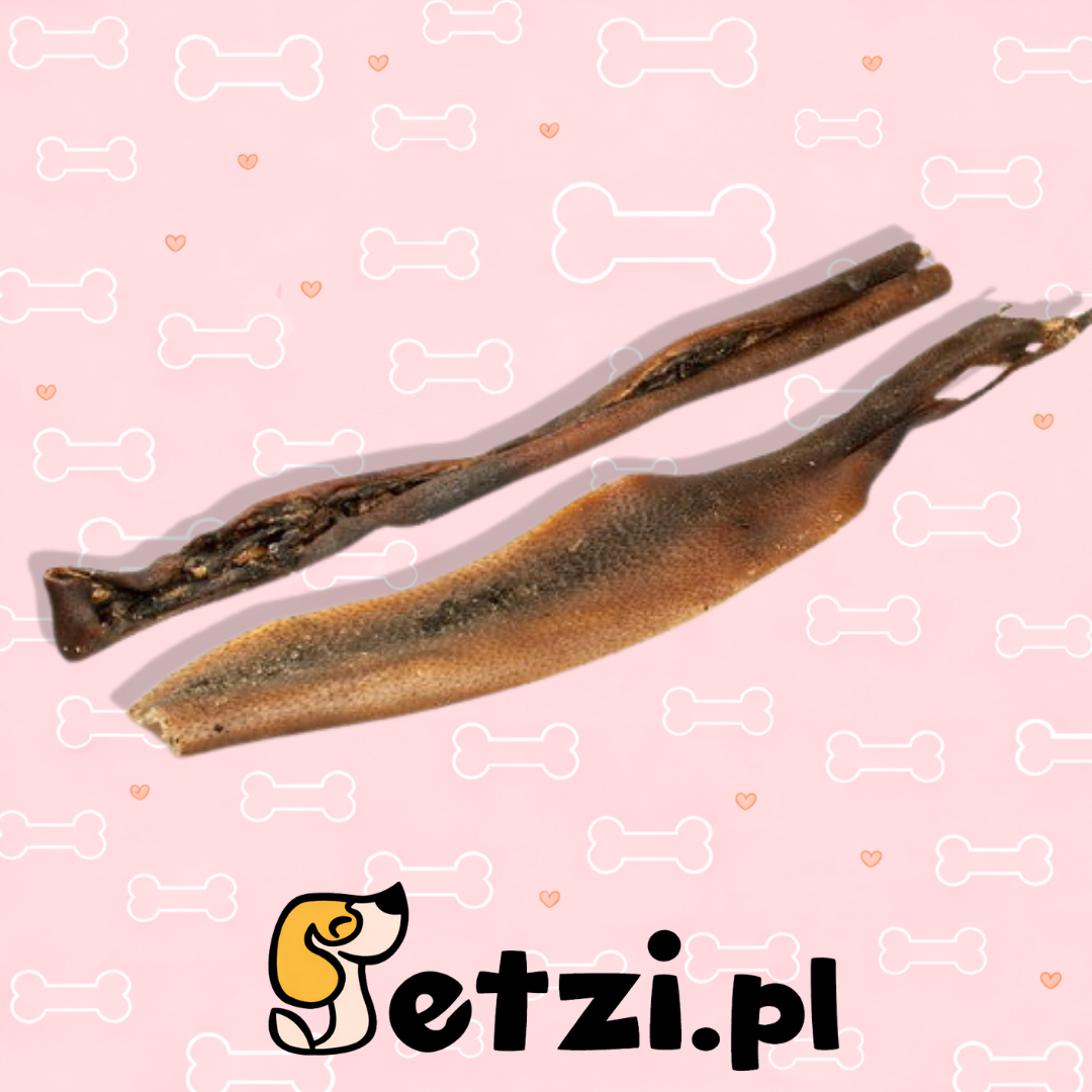 MEATSTUFF GRYZAK DLA PSA SKÓRA DZIKA 50 CM 2 SZT.