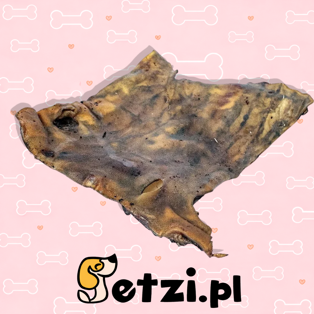 MEATSTUFF GRYZAK DLA PSA SKÓRA WOŁOWA PŁASKA 1 SZT.